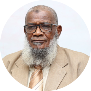 Prof. Abdelsalam Mohammed Hamed Elfaki